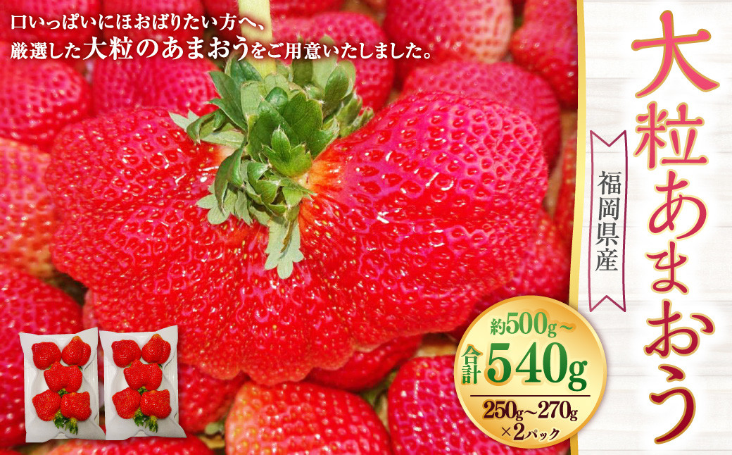 
                  大粒あまおう 2パック あまおう いちご イチゴ 苺 果物 くだもの フルーツ【2027年2月上旬～4月下旬発送予定】
                