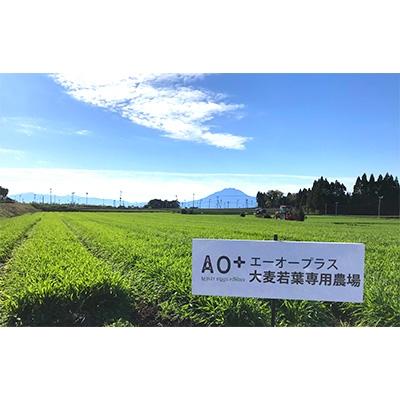 ふるさと納税 青森市 AO+　青森プロテオグリカン入り青汁 |  | 03