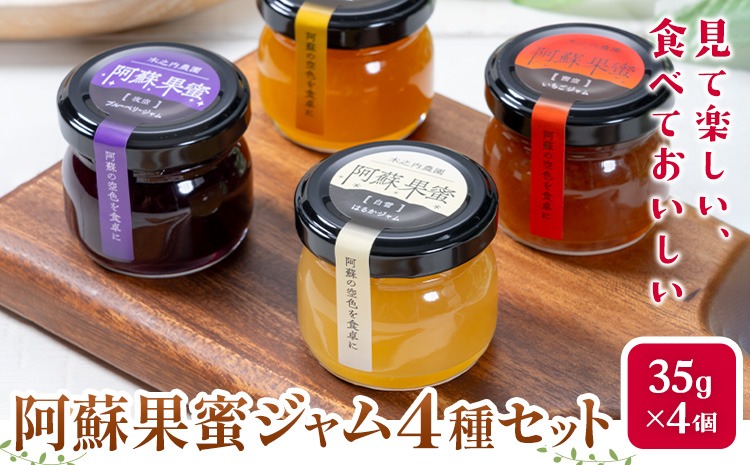 阿蘇果蜜ジャム4種セット 35g×4本 木之内農園 ジャム《30日以内に出荷予定(土日祝を除く)》 熊本県南阿蘇村 ジャム いちご ブルーベリー はるか 不知火 苺 大粒 乗せるジャム---isms_kinoaskmt_30d_r7_7500_4p---