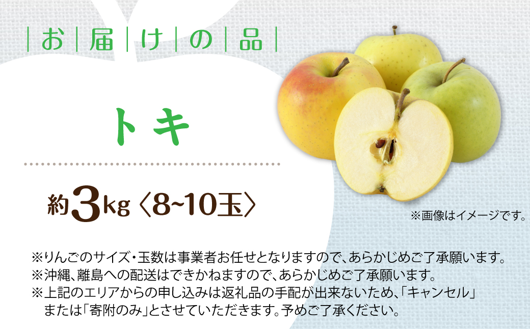 【先行予約】＜2026年10月中旬よりお届け＞北海道壮瞥町　りんご　品種名「トキ」8～10玉約3kg SBTF016