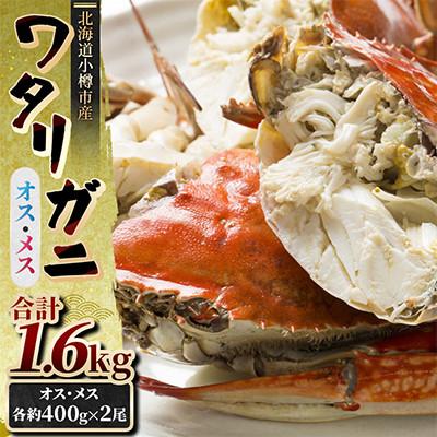 ふるさと納税 小樽市 北海道小樽市産 ワタリガニ　オス・メス各約400g×2尾 合計1.6kg チゲ鍋やパスタに合う!