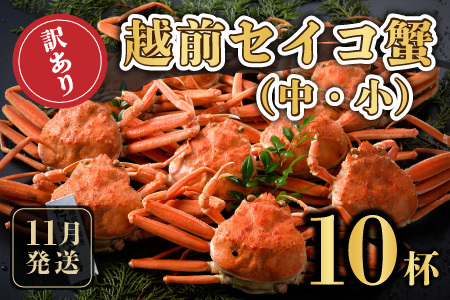 【先行予約】訳あり≪茹で≫越前セイコ蟹(中・小) 10杯【2025年11月発送分】 [K-1601_11]