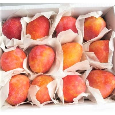 ふるさと納税 上山市 プラム(月光)1.2kg　ご家庭用　0075-2603 |  | 01