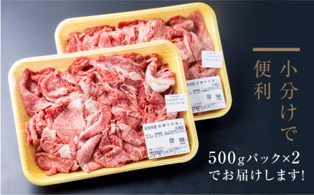 厳選 飛騨牛 切り落とし 切落し A4・A5ランク 1kg[DE026]