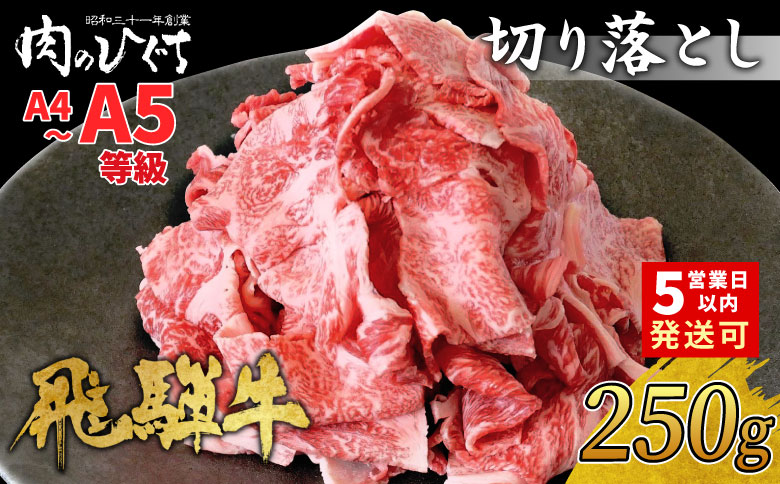 【最速発送】 飛騨牛 切り落とし 250g A5 A4 国産 牛 冷凍 お試し 和牛 牛肉 切落し 切り落し 訳あり 牛丼 すき焼き しゃぶしゃぶ 東白川村 岐阜 飛騨 贅沢 霜降り ロース バラ もも ウデ 肉のひぐち