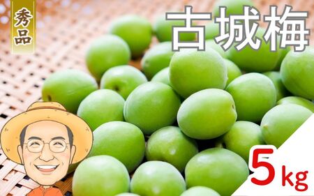 古城梅 約5kg (＋保証100g)【秀品】 L～Mサイズ カキエモン農園【BX-kkem022】