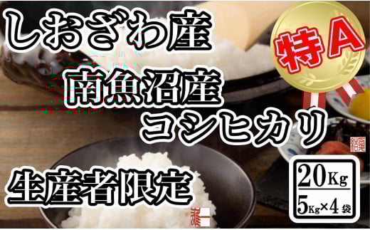 
            【令和7年産】生産者限定 契約栽培 南魚沼しおざわ産コシヒカリ20Kg（５Kg ×4袋）【2025年10月上旬より順次発送予定】
          