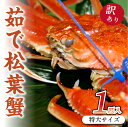 【ふるさと納税】日本海産　ブランド蟹　 茹で松葉蟹 【訳あり】特大サイズ　matubakani1000 ズワイガニ 松葉ガニ 1kg 1000g ボイル 年末 かに カニ 蟹 ブランド蟹 国産 ボイル 高級 訳あり まるごと 大きなカニ ごちそう 甲殻類 贅沢 ご褒美 京都 丹後 送料無料