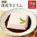 【ふるさと納税】地元ブランド 落花生とうふ 詰め合わせ 100g×9個 たれ付き 豆腐 とうふ ピーナッツ おつまみ おやつ 食品 手作り 国産 送料無料