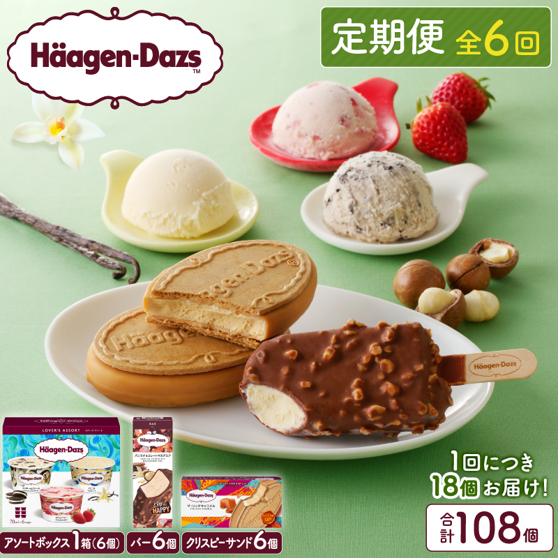 ＜全6回定期便・連続＞ハーゲンダッツ『3種の贅沢ギフトセット(合計108個)』アイスクリーム アイス スイーツ デザート_H0016-143