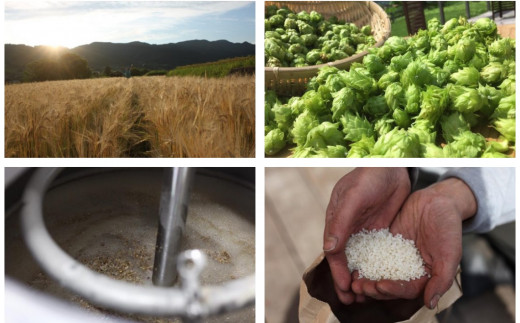 0035-47-01 フジヤマハンターズビール おまかせビール 350ml缶×12本セット