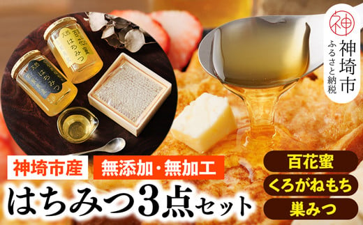 
国産はちみつ(神埼産)百花蜜・くろがねもち450g×1 巣みつ 【贈り物 黄金色 自家製 疲労回復 美容 栄養 花の蜜 純粋 九州産】(H050125)
