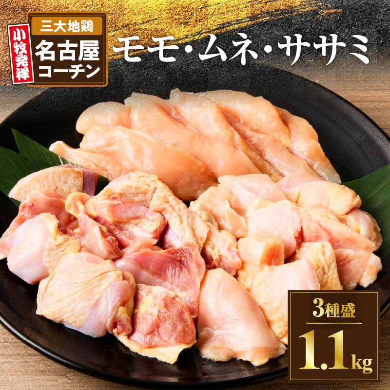 【ふるさと納税】名古屋コーチン 3種盛 1.1kg 大満足セット もも肉 むね肉 ささみ 地鶏 鶏肉 日本三大地鶏 程よい弾力 適度な歯ごたえ コク 旨み かしわ肉 モモ ムネ 焼肉 やきとり 蒸し鶏 親子丼 天ぷら 茶碗蒸し お取り寄せ お取り寄せグルメ 冷凍 愛知県 小牧市 送料無料