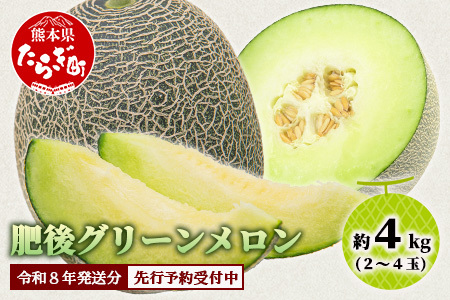 【2027年4月中旬～発送 先行予約】肥後グリーンメロン 2～4玉(合計約4kg) メロン フルーツ 果物 108-0502