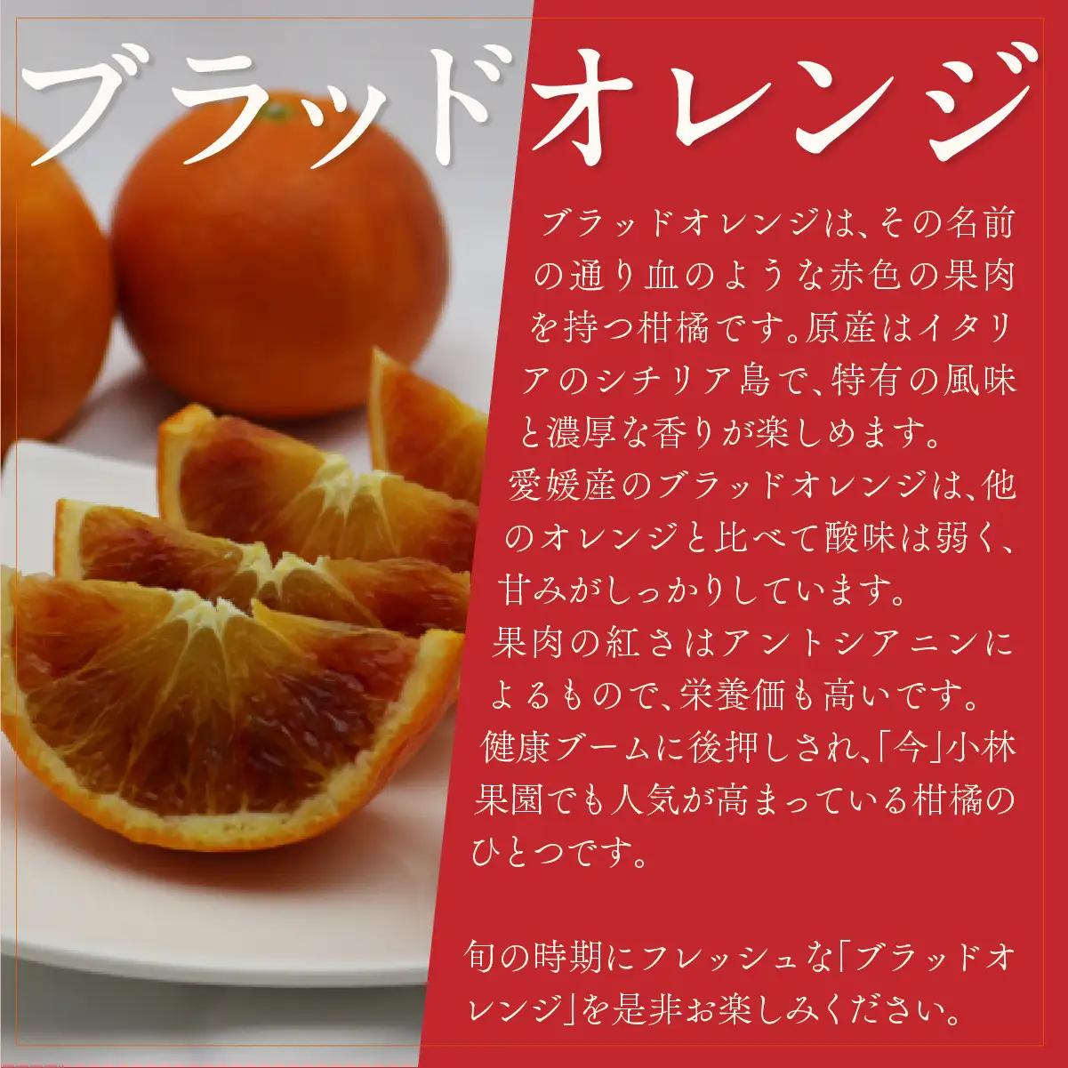 【先行受付】愛媛・小林果園のブラッドオレンジ 約2.8kg【C24-32】【1519321】 YWTAD023