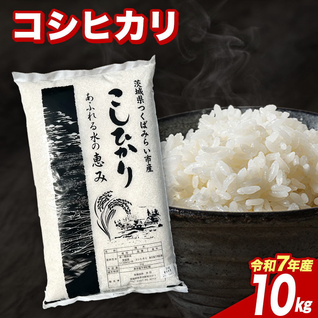 【4月下期出荷】 コシヒカリ 10kg 令和7年産精米 【 数量限定 】茨城県つくばみらい市産 米 コメ 単一米 22000 茨城県産 国産 発送 コスパ こしひかり [CL288-NT]