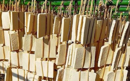 No.3014 福島市名産・立子山の凍み豆腐２連　箱入り