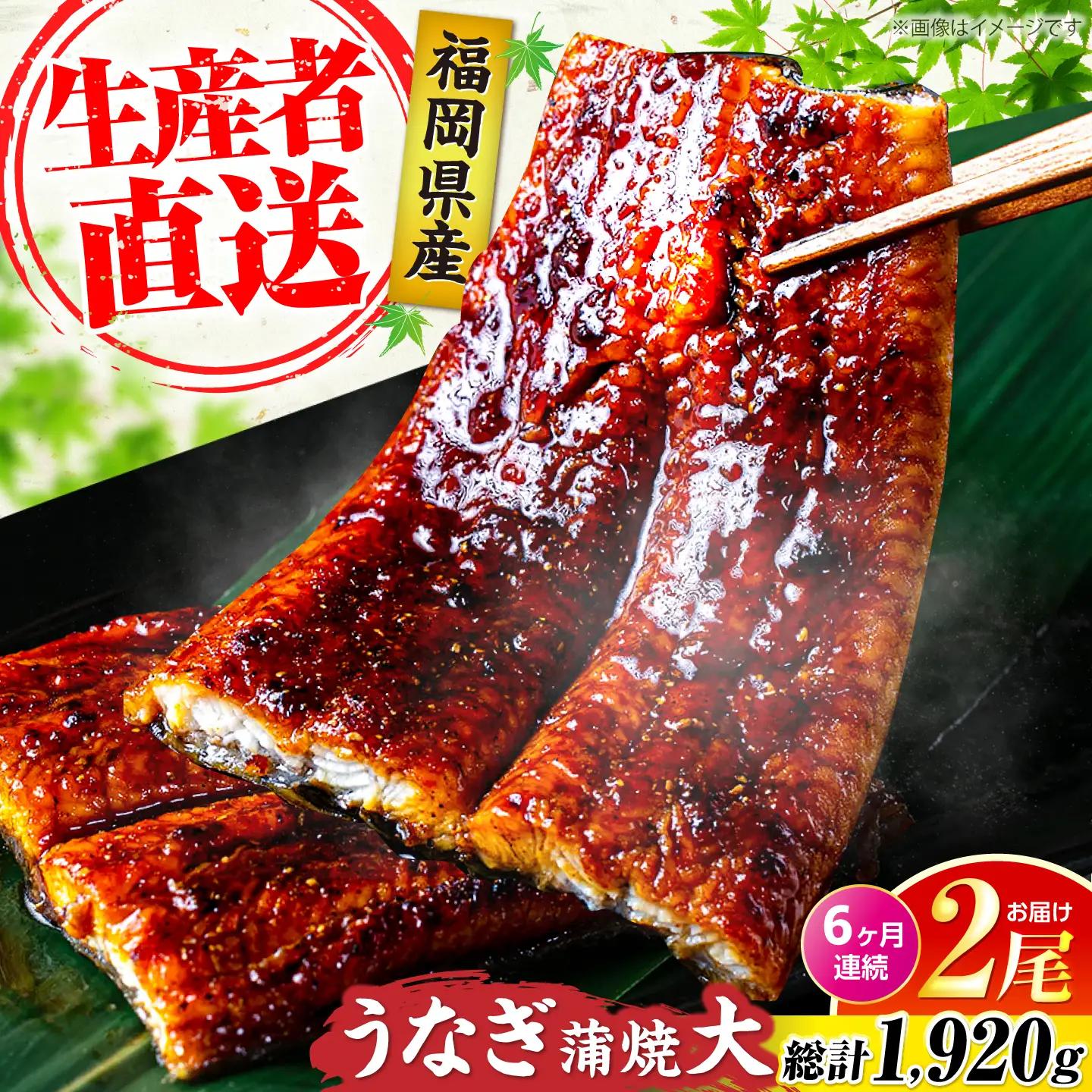 【全6回定期便】福岡県産 うなぎ 蒲焼 大2尾 計320g VAD012 うなぎ