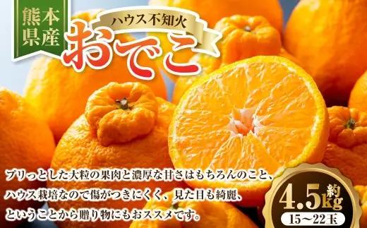 ハウス不知火おでこ 4.5kg 熊本県 果物 くだもの フルーツ 熊本県産 国産 柑橘系 柑橘類 不知火 おでこ ミカン みかん ハウス栽培 贈り物 プレゼント ギフト 贈答 【 2026年12月上旬発送開始 】