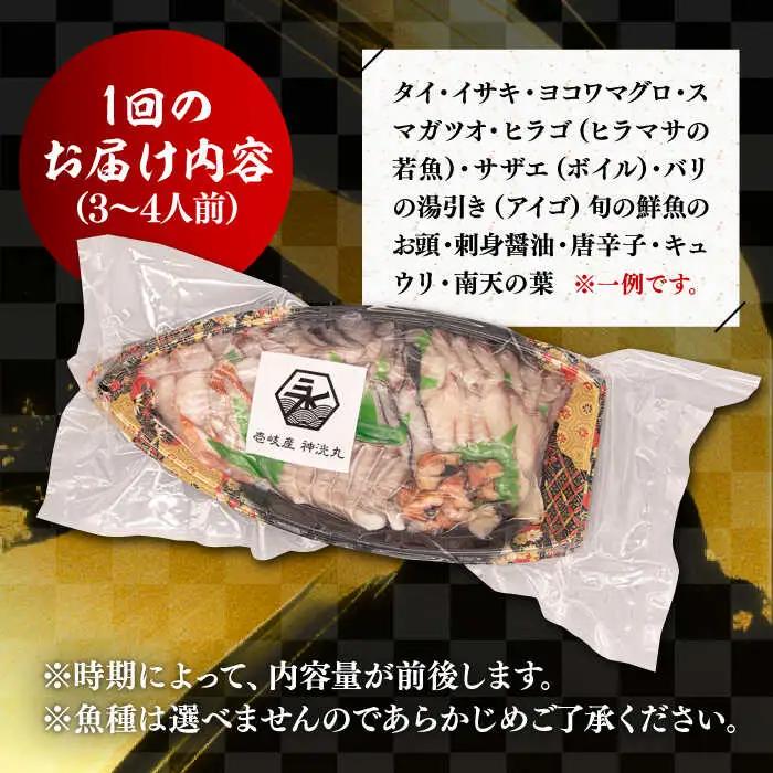 【全12回定期便】 豪快 舟盛り 「永村印の神洸丸大漁舟盛り」 3～4人前《壱岐市》【神洸水産】 刺身 刺し身 海鮮 鮮魚 海産物 [JFI004]