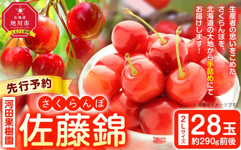 先行予約【河田果樹園】さくらんぼ「佐藤錦」2Lサイズ手詰め28玉(2025年7月上旬より発送予定) 【 さくらんぼ サクランボ 果物 くだもの フルーツ デザート 旬 お取り寄せ 甘い 北海道産 人気 ランキング 北海道 旭川市 産地直送 送料無料 】_02149