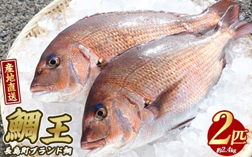 
            長島町特産「鯛王」(2匹・約2.4kg) 産地直送 新鮮 旨味が抜群の 長島町 特産品 ブランド 真鯛 をまるごと 一匹 楽しめる 刺身 鯛めし 鯛茶漬け 鯛しゃぶ 鯛刺身 鮮魚 冷蔵 【JFA】jfa-22R7
          