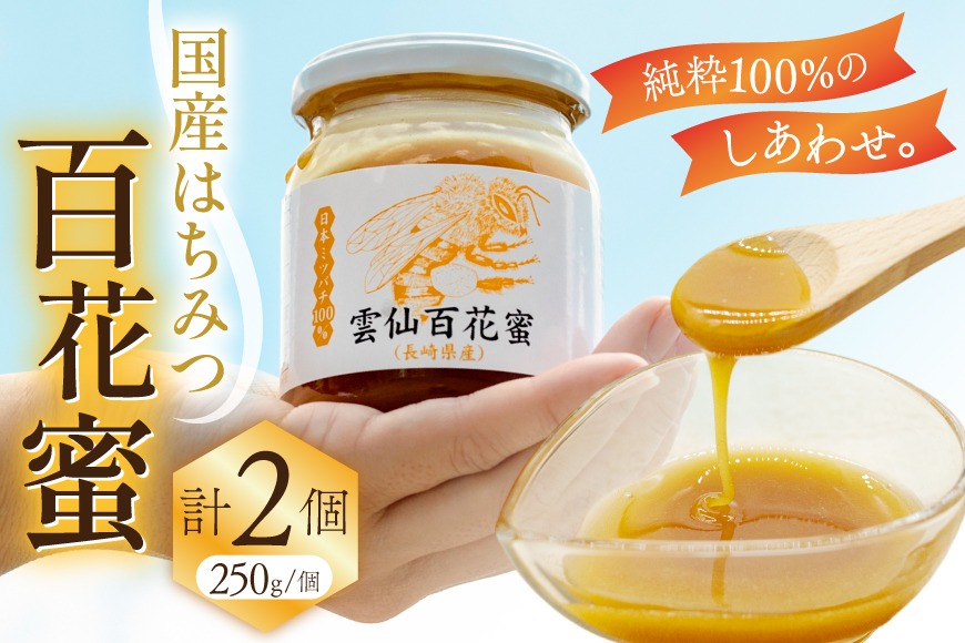AJ444 はちみつ 国産 百花蜜 250g 2個 日本ミツバチ 純粋 100% [ 安中梅林を育てる会 蜂蜜 ハチミツ 非加熱 無添加 長崎県 島原市 ]