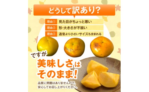 【先行受付】 訳あり 太秋柿 3kg こねり柿園こだわりの『よのちゃん太秋柿』 KNR0308