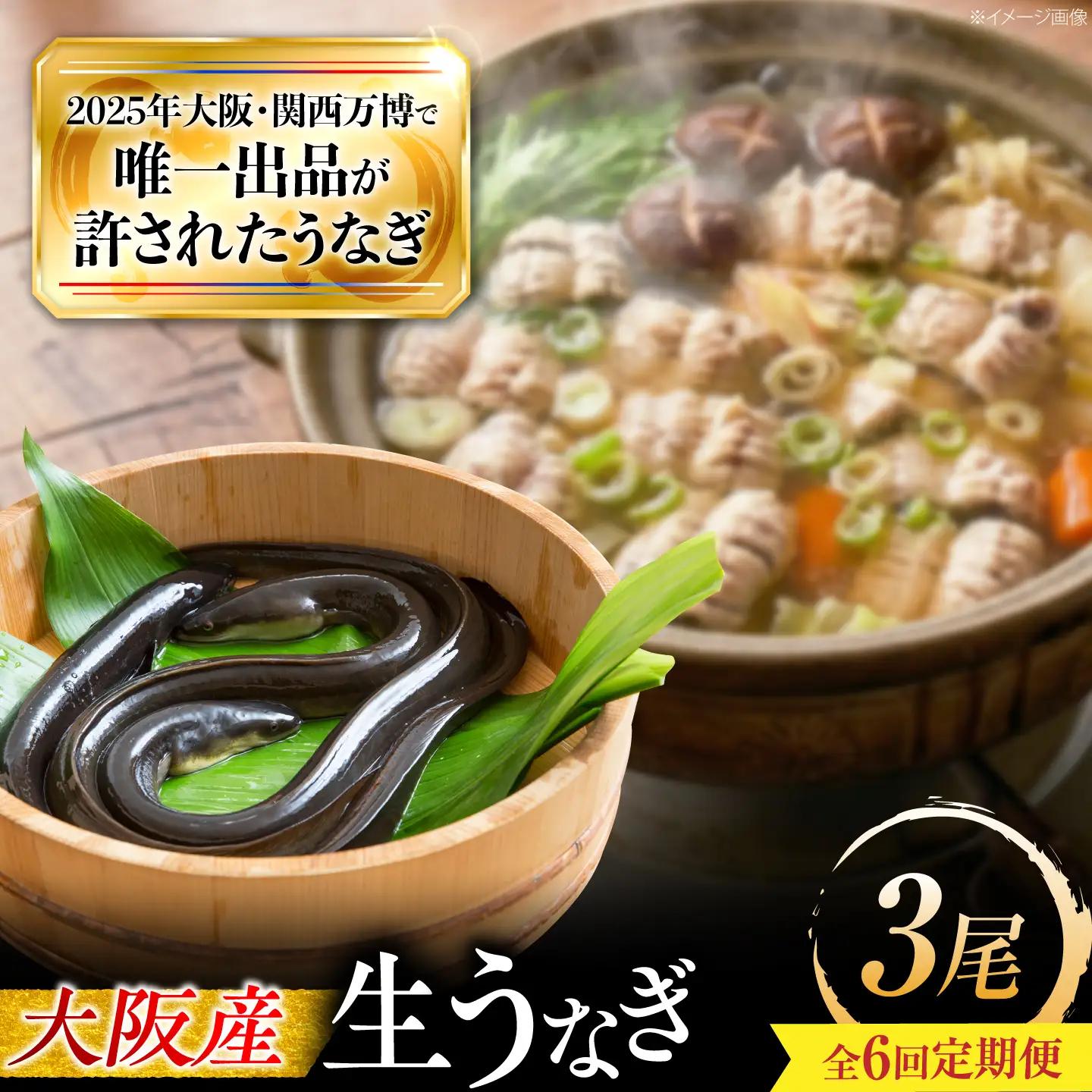 【6回定期便】 鰻 美陵鰻の生鰻 3尾 BLAL069
