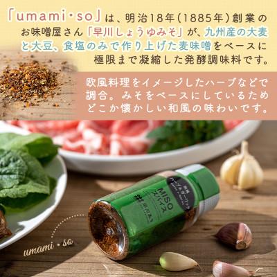 ふるさと納税 都城市 【発酵調味】体に優しいMisoスパイスと豚肩ロース400g・豚みそ漬け360gセット【真空小分け】 |  | 02