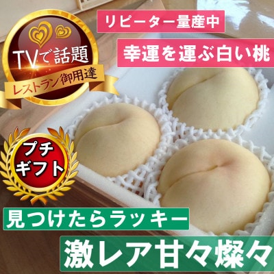 2027年発送先行受付【激レア縁起深い白い桃甘々燦々】人気品種指定ギフト5年連続TV出演話題ブランド【配送不可地域：離島・北海道・沖縄県・中国・四国・九州】