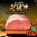 【ふるさと納税】【全6回定期便】壱岐牛 サーロイン ブロック 1.5kg 《壱岐市》【中津留】[JFS025] 冷凍配送 黒毛和牛 A5ランク サーロイン ステーキ 焼肉 BBQ 牛肉 肉 サーロインステーキ 赤身 焼き肉 ブロック肉 ブロック 定期便 582000 582000円 焼肉用