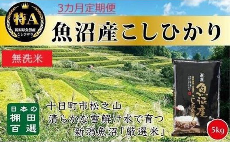 【令和8年産 先行予約】無洗米「3カ月定期便」日本棚田百選のお米 天空の里・魚沼産こしひかり ５ｋｇ×３回 白米 安心 安全 こだわり