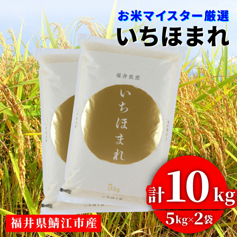 【ふるさと納税】 令和7年産 いちほまれ [C-02015] / お米 精米 白米 小分け 便利 ごはん コメ ブランド米 人気 品種 特A 10kg こしひかり コシヒカリ