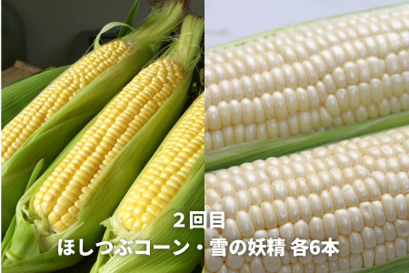 野菜 定期便 3回便【令和9年産予約受付】北海道野菜 新鮮な野菜 詰め合わせ 北海道 黒木農場
