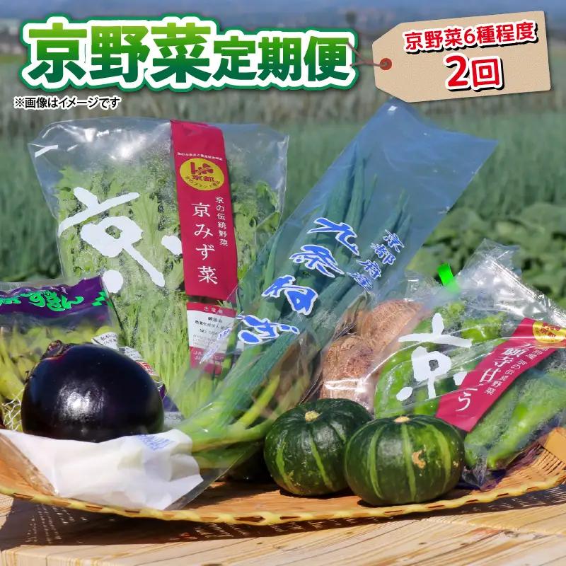【野菜 定期便 2回】選りすぐり 旬の京野菜 詰め合わせセット 