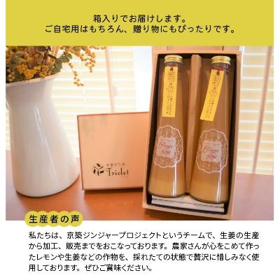 ふるさと納税 上毛町 【上毛町産レモン使用】ジンジャーシロップ　2本セット |  | 03