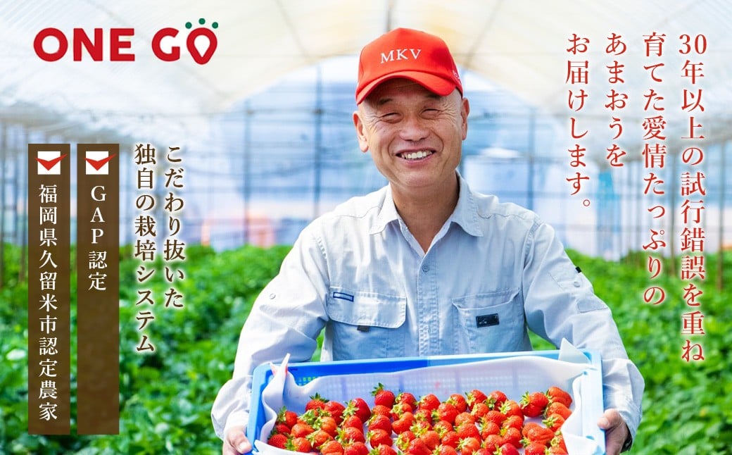 【数量限定】 あまおう 約280g×4パック 計約1,120g