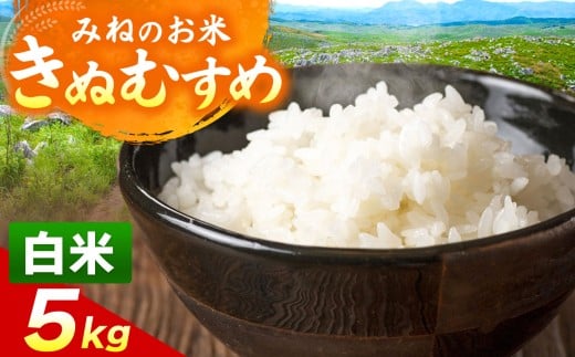 令和7年度産 きぬむすめ 白米 5kg ｜   白米  米 雑穀 お米 コメ 単一米 きぬむすめ 絹娘  山口 美祢 秋吉台