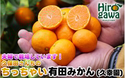 ちっちゃい 有田 みかん 5kg 久幸園 / 温州みかん 有田みかん 甘い 小玉 和歌山 柑橘 ※11月下旬〜12月下旬に順次発送予定【hsk004-s-5B】