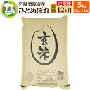 【ふるさと納税】《定期便12ヶ月》【令和6年産・玄米】宮城県栗原産 ひとめぼれ 毎月5kg (5kg×1袋)×12ヶ月