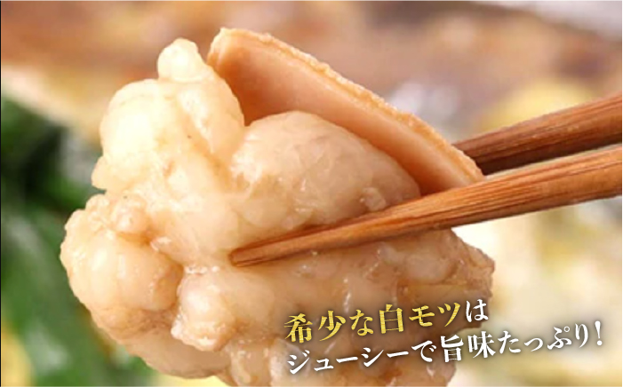 【全6回定期便】厳選国産牛 博多もつ鍋 みそ味セット 6人前＜博多の味本舗＞那珂川市 [GAE043]