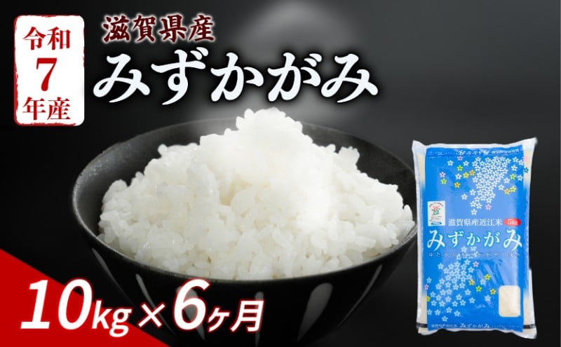 
                  みずかがみ 10kg (5kg×2) 6ヶ月定期便 令和7年産 米 こめ ご飯 米 定期便 6回定期便 6か月定期便 6回 6か月 10キロ 令和7年 滋賀 彦根
                