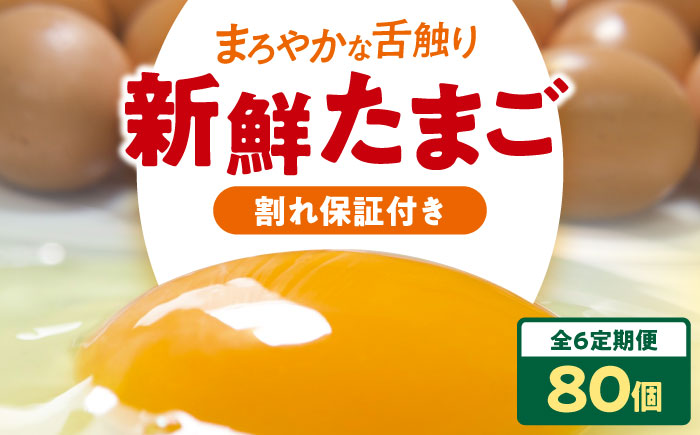 【全6回定期便】平飼い 海草たまご 8パック（80個入り）割れ保証あり 愛媛県大洲市/和田養鶏場 卵 たまご 鶏卵 卵料理 玉子 [AGDQ012]