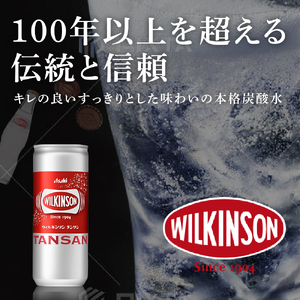 炭酸水 ウィルキンソン タンサン 250ml （20本入×2） ウィルキンソン炭酸 缶 箱 炭酸 水 炭酸飲料 ドリンク 飲料 ソーダ水 災害 防災 備蓄 ローリングストック 非常用 備蓄用 常温 常