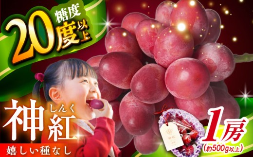 ぶどう【2026年先行予約】【8月初旬頃から順次発送】島根県オリジナル品種「神紅」1房 500g以上 葡萄 ぶどう ブドウ 厳選 島根県産 1房 先行予約 期間限定 フルーツ 種なし 皮ごと 高糖度 甘い 大きい 果実 人気 新鮮 くだもの 雲南市 こだわり しんく オリジナル 品種 果物 種なし葡萄 産地直送 人気 おすすめ 島根県雲南市/池田ぶどう農園　 [AIAA001]