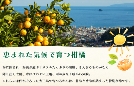 【先行予約】【受付は11月末まで！】ホリ田ヤ 大三島まどんな サイズばら 2.5キロ [KB00810]