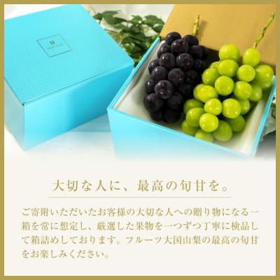 ふるさと納税 南アルプス市 【発送月固定定期便】フルーツギフト専門店が選ぶ南アルプスの厳選フルーツ定期便　全5品種全5回 |  | 03