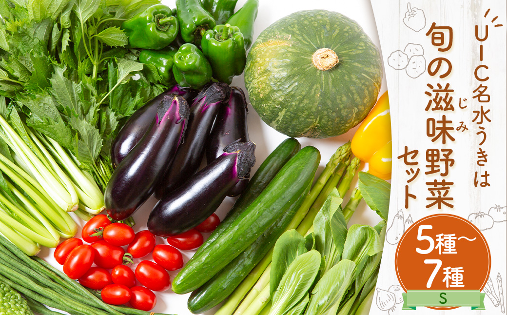 UIC 名水うきは 旬の滋味（じみ）野菜セットS