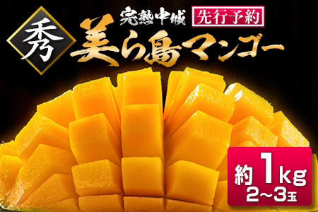 【2025年夏季出荷 先行受付開始！】 完熟中城美ら島マンゴー（秀品） 約1kg　沖縄 特産品 完熟マンゴー フルーツ 果物 デザート スイーツ ジュース スムージー アイス シャーベット ソルベ 贈答 贈り物 プレゼント お土産 お見舞い お中元 ギフト 数量限定